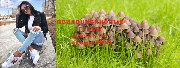 МДМА Верхний Тагил