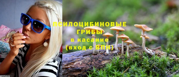 МДМА Верхний Тагил
