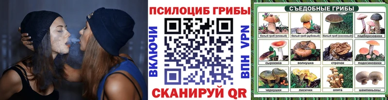 МЕГА маркетплейс  Камышлов  Галлюциногенные грибы Psilocybine cubensis 